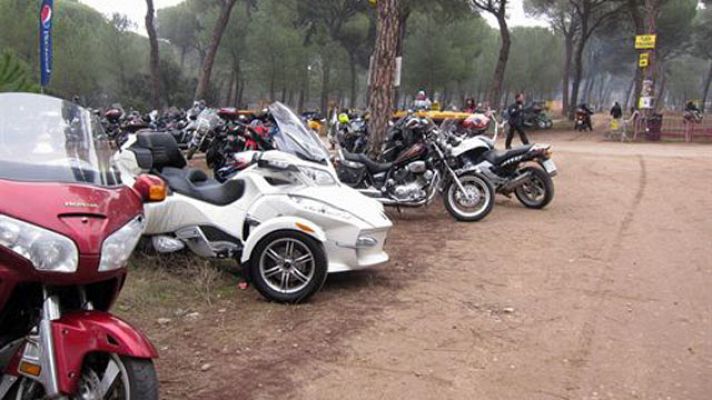 +Gente - Nos vamos con los pingüinos