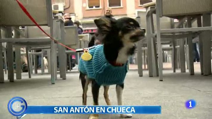 Chueca celebra San Antón