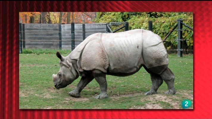 Saber y ganar - Saber y ganar - 16/01/12