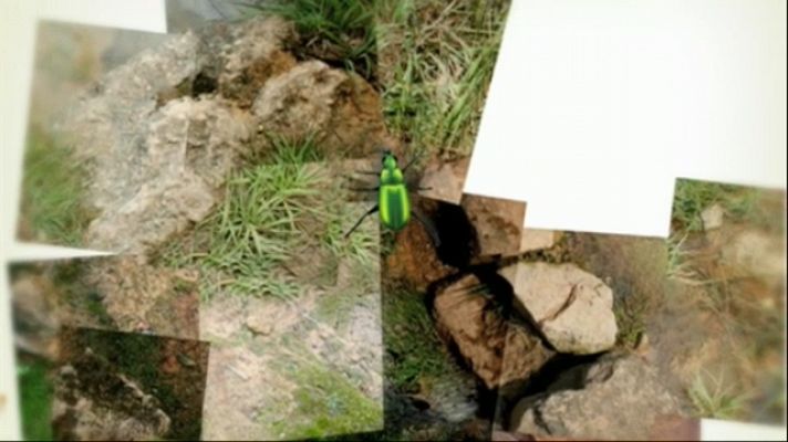 El escarabajo verde - La erupción del Teneguía -Avance