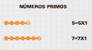 Mas Por Menos Numeros Naturales Numeros Primos Rtve Es