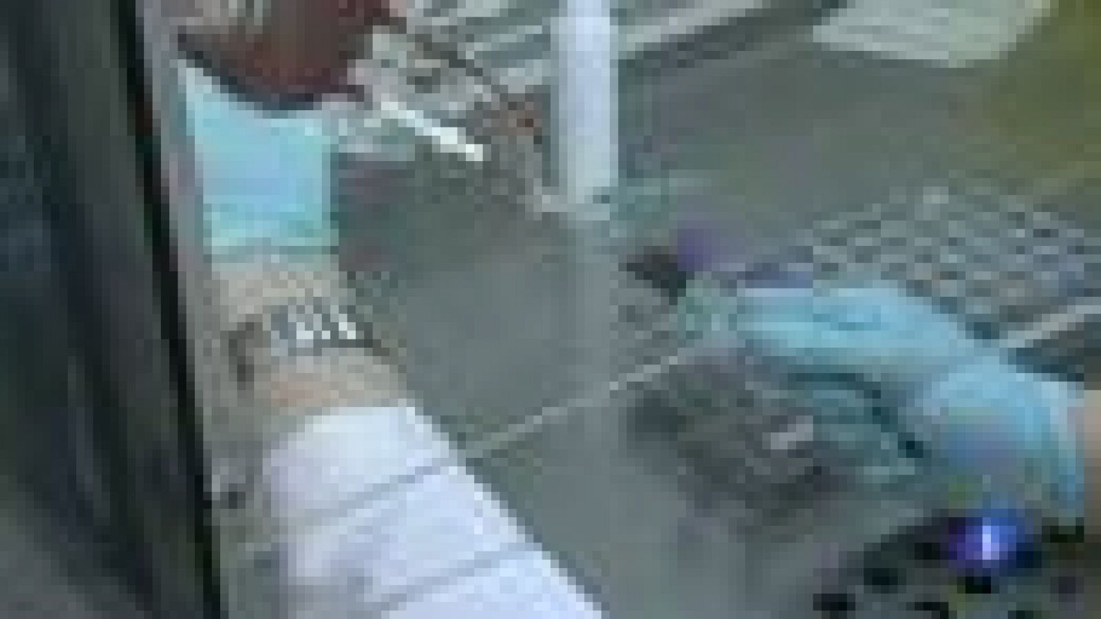 Una fundación alemana opera ilegalmente en España captando donantes de médula ósea