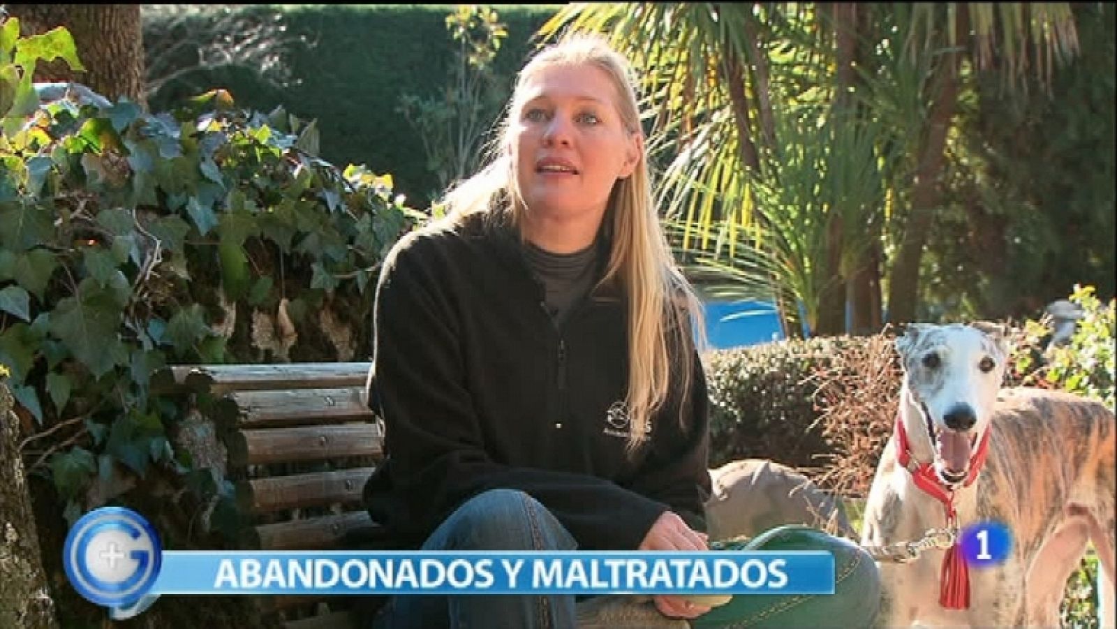 Más Gente - 17/01/12 - Ver ahora