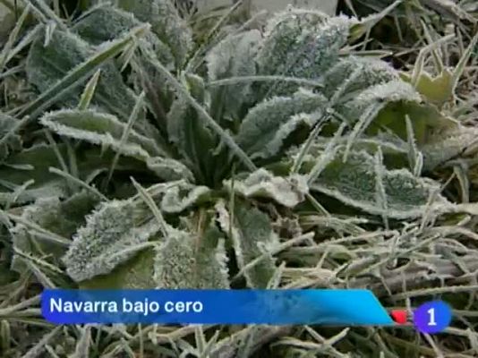 Telenavarra - Telenavarra en 2' - 18/01/12