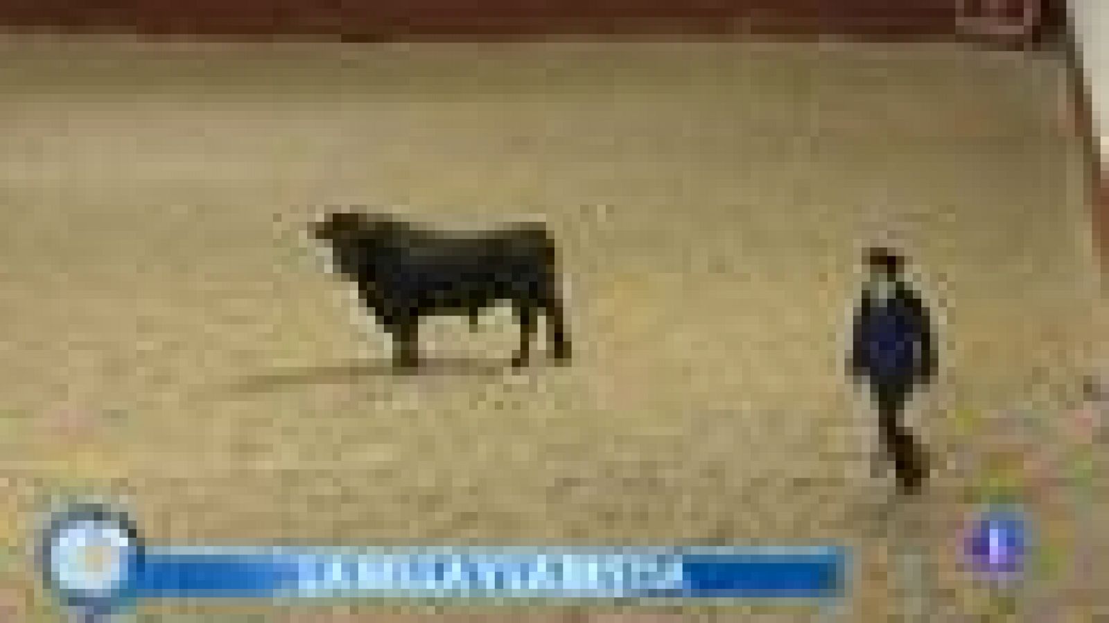 +Gente: Un toro bravo como mascota | RTVE Play