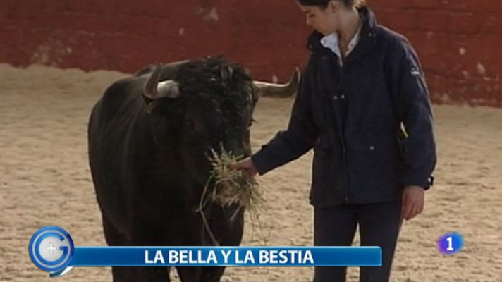 +Gente - Un toro bravo como mascota