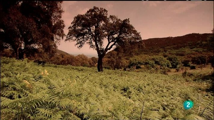 Biodiario - Biodiario - 18/01/12