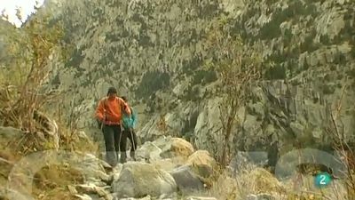 Francesc Torralba - Punta Alta