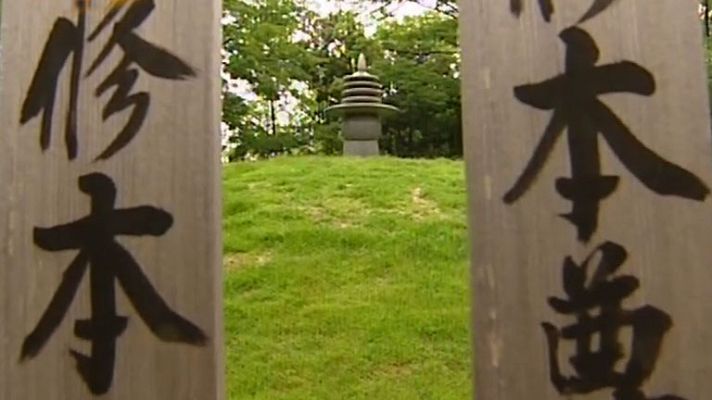 En portada - Japón, el Ave Fénix