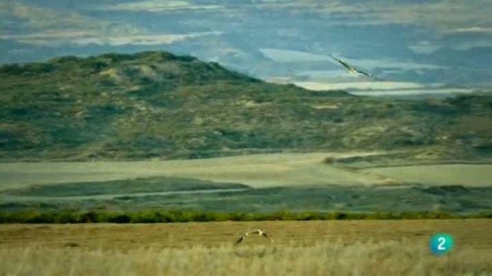 Para todos La 2 - Mejorar el medio ambiente