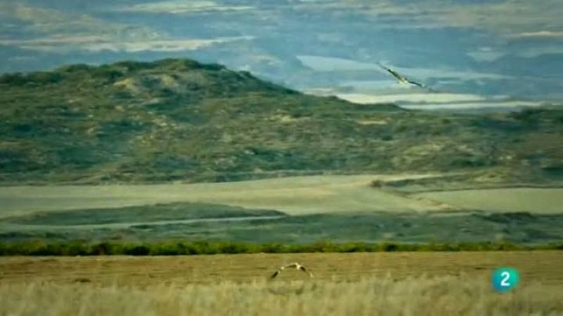  Para todos La 2 - Mejorar el medio ambiente