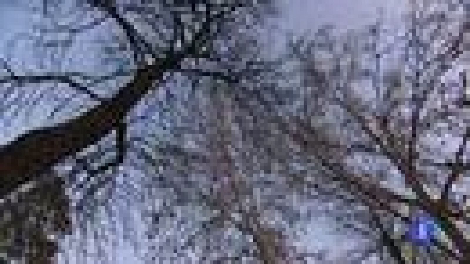 El tabú del suicidio