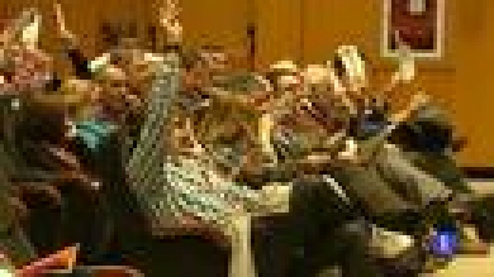 956 delegados elegirán al nuevo Secretario General del Partido Socialista