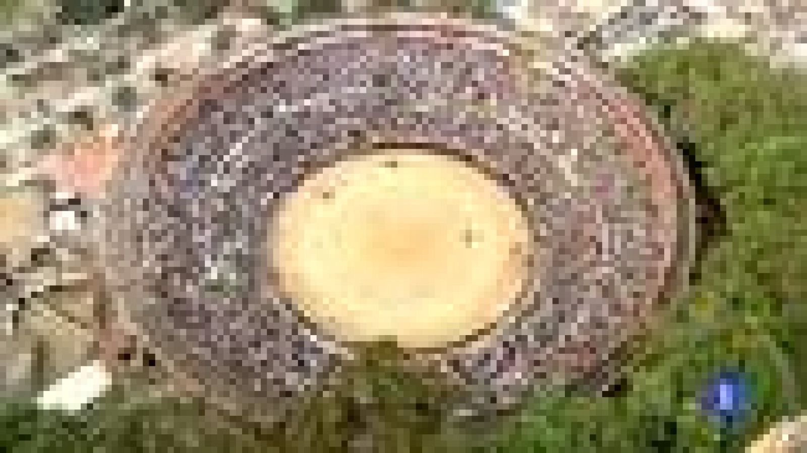 La plaza de Santamaría en Bogotá podría quedarse sin la feria taurina