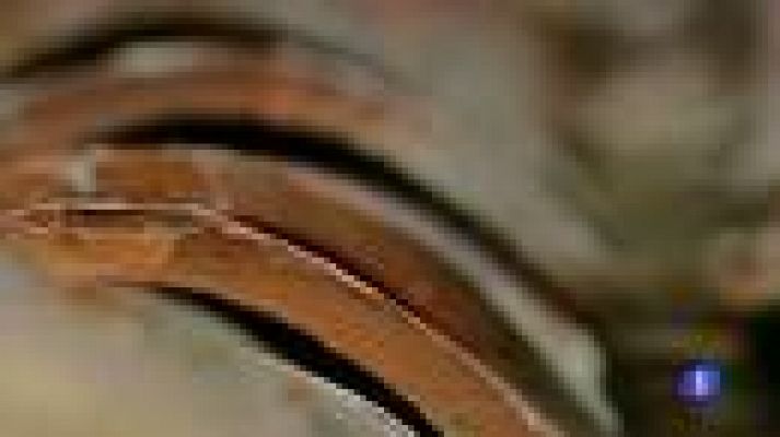 Telediario 1 - Las huellas que dejan las tejas