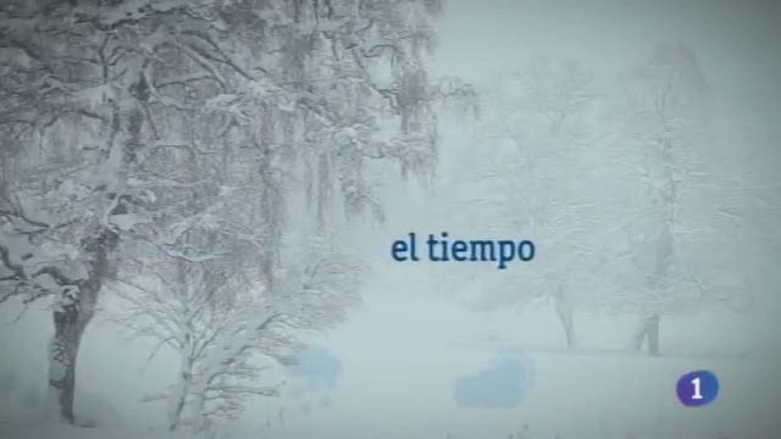 El tiempo en Castilla La Mancha (23/01/2012) | Ver