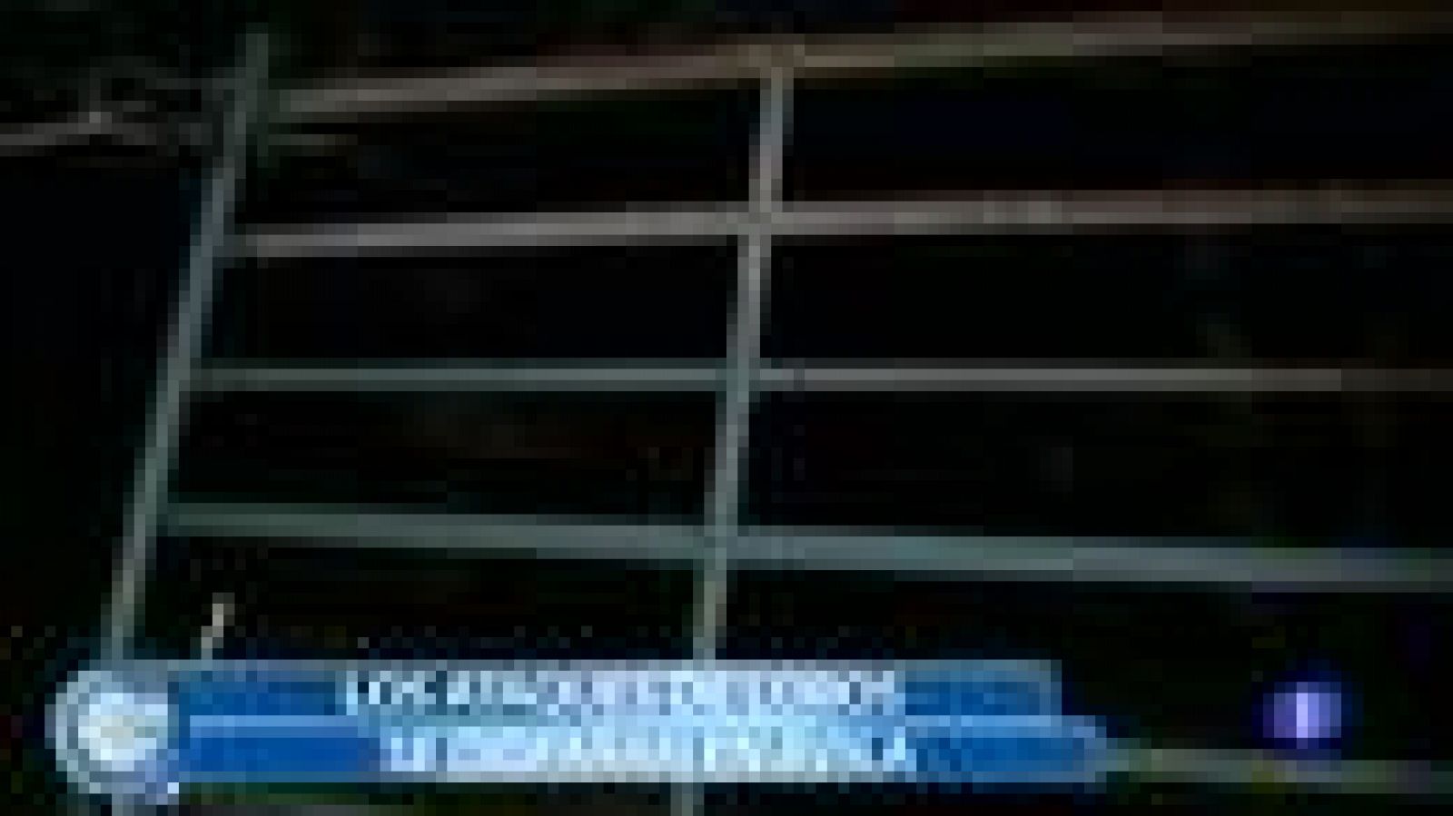 Más Gente - Denuncian ataques de lobos al sur del río Duero