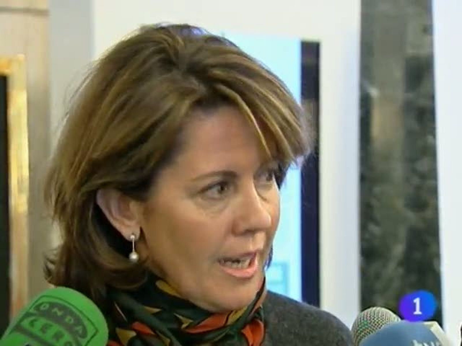 Telenavarra - 24/01/12 | Ver