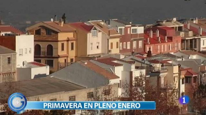 La primavera se adelanta a enero