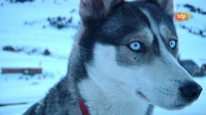 Pirena 2012 - Etapa 3