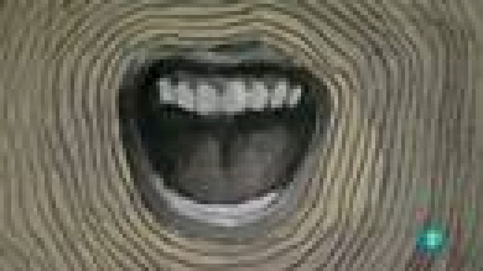 Continuarà - PEREJAUME