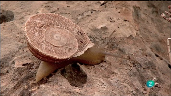 Biodiario - Biodiario - 25/01/12