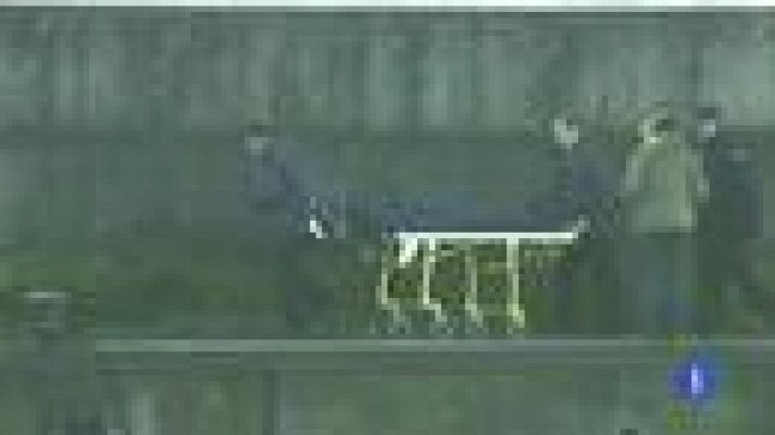 Telediario 1 - Tragedia en A Coruña