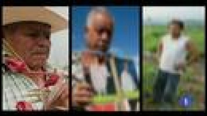 Telediario 1 - Asesinatos en México