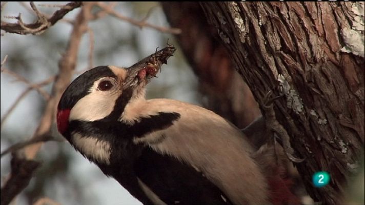 Biodiario - Biodiario - 27/01/12