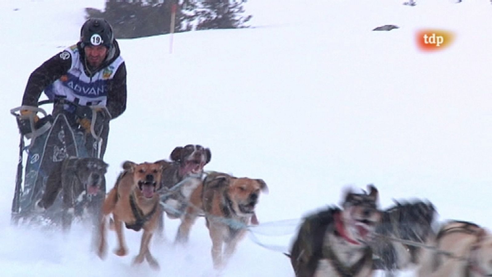 Pirena 2012 - Etapa 7 - 28/01/12 - Ver ahora