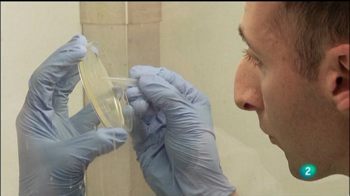 Emprendedores e innovadores - Capítulo 17