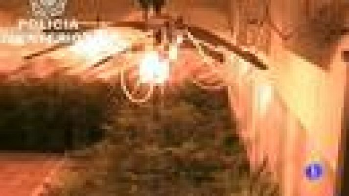 Telediario 1 - Más incautaciones de marihuana
