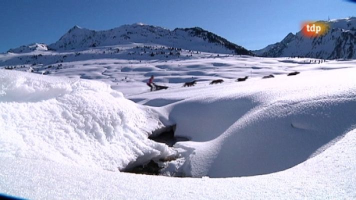 Pirena 2012 - Etapa 8