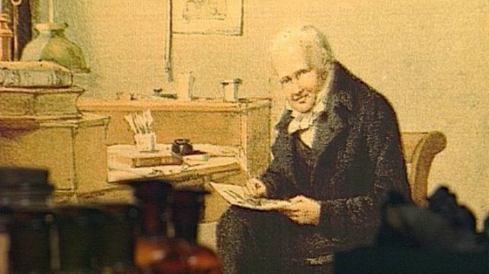 El escarabajo verde - Humboldt en Tenerife - avance