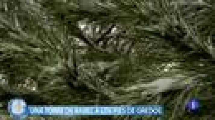 +Gente - Una Torre de Babel en Salamanca