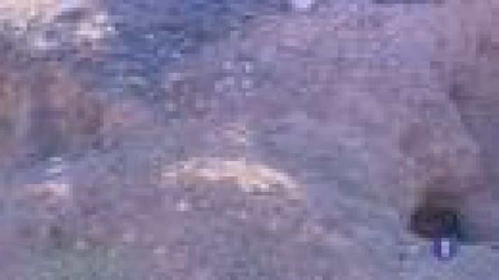 Noticias de Castilla-La Mancha - Castilla-La Mancha en 2' - 30/01/12