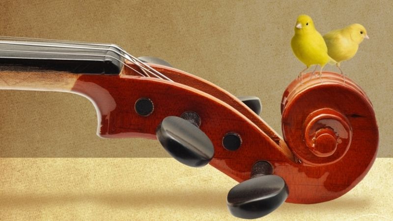 Programa de mano - 31/01/12 - Ver ahora 