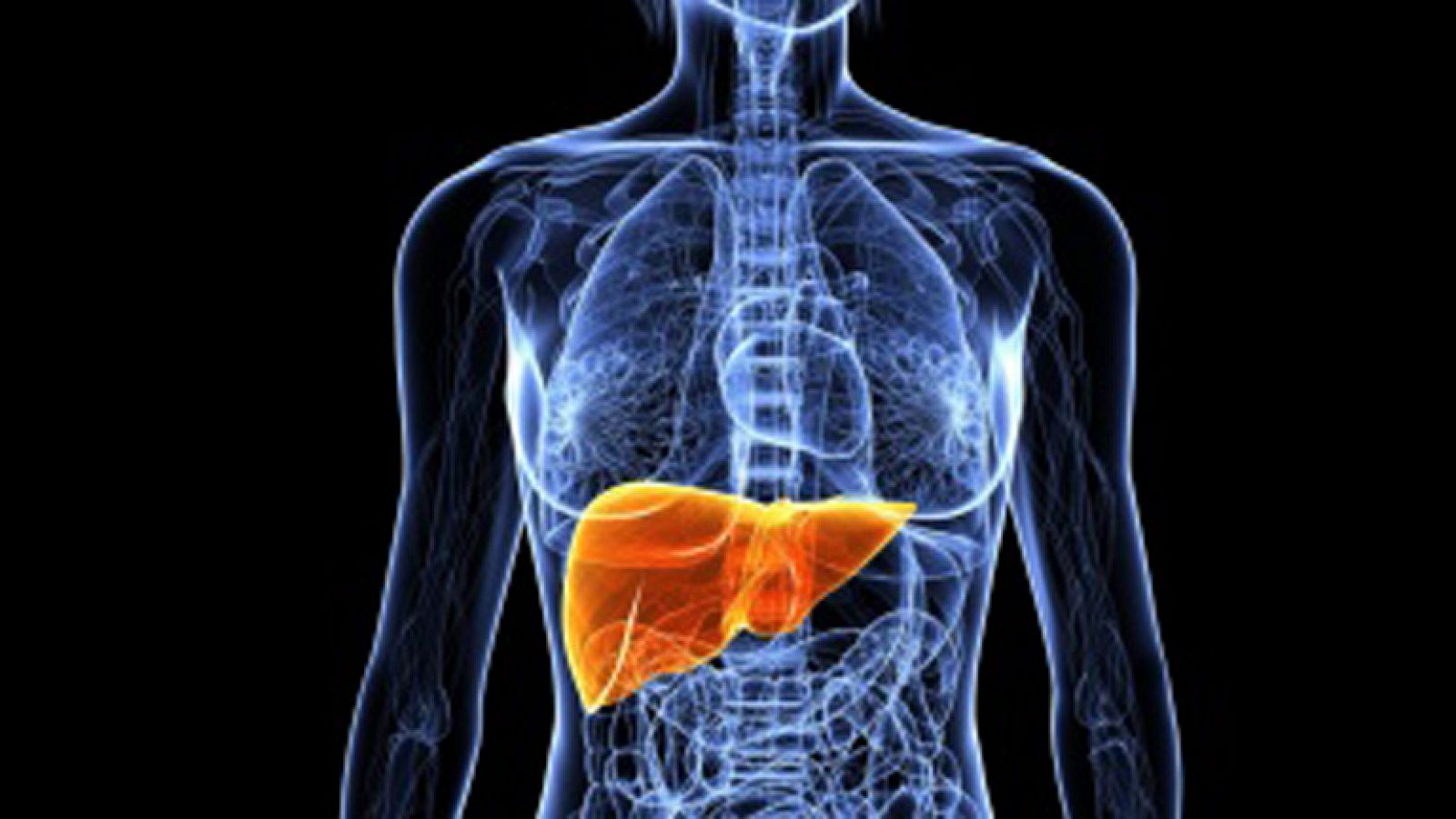 Saber vivir - 01/02/12 - Ver ahora