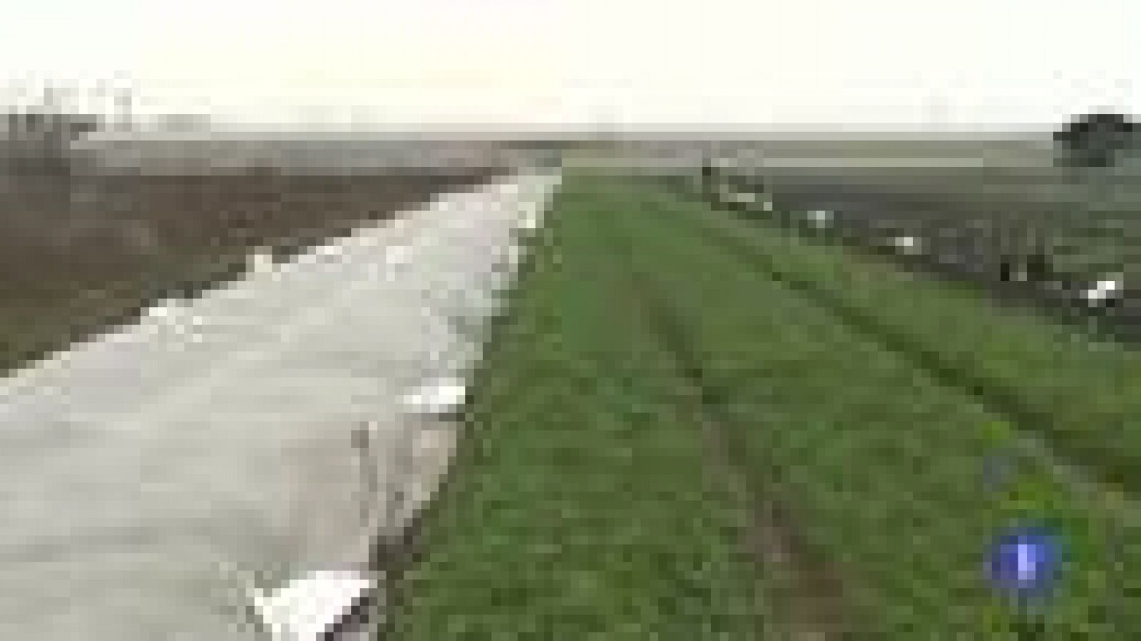 Preparativos para recibir a la ola de frío siberiano