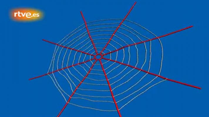Ciencia y tecnología en Rtve.es - La fuerza de la tela de araña depende de su diseño