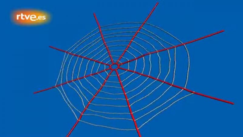 La fuerza de la tela de araña depende de su diseño