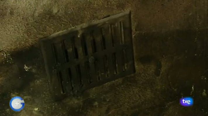 +Gente - Más gente - 29/01/12