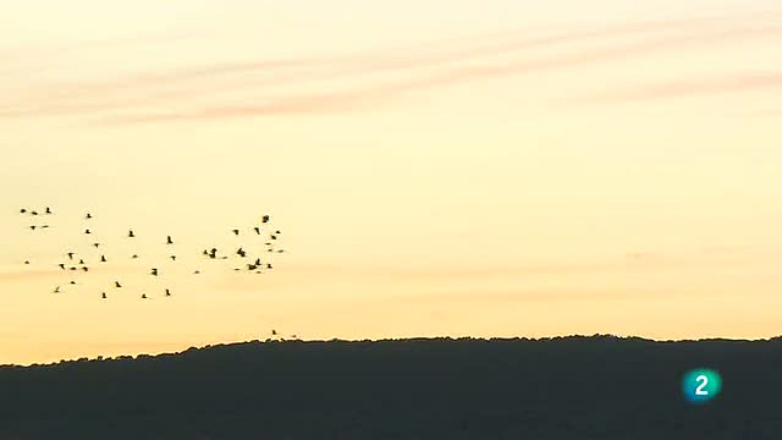 La aventura del saber. Laguna del Cañizar