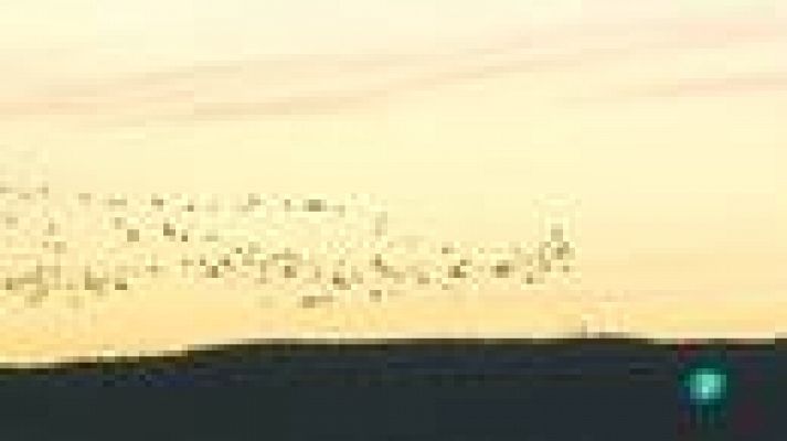 La aventura del Saber - Laguna del Cañizar