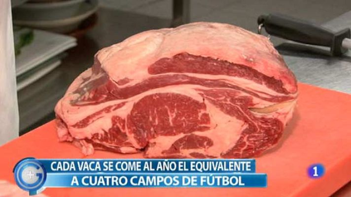 +Gente - Cocinamos con ternera extremeña