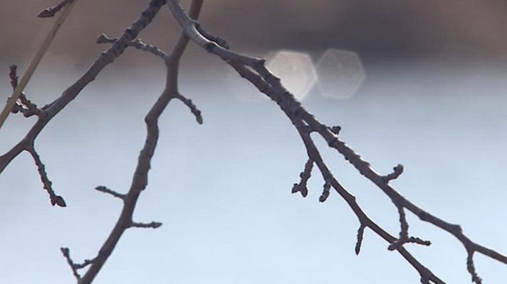 Telediario 1 - Humedales españoles