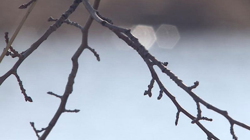 La falta de lluvias abundantes, contaminación y regadíos ilegales ponen en peligros 73 humedales españoles