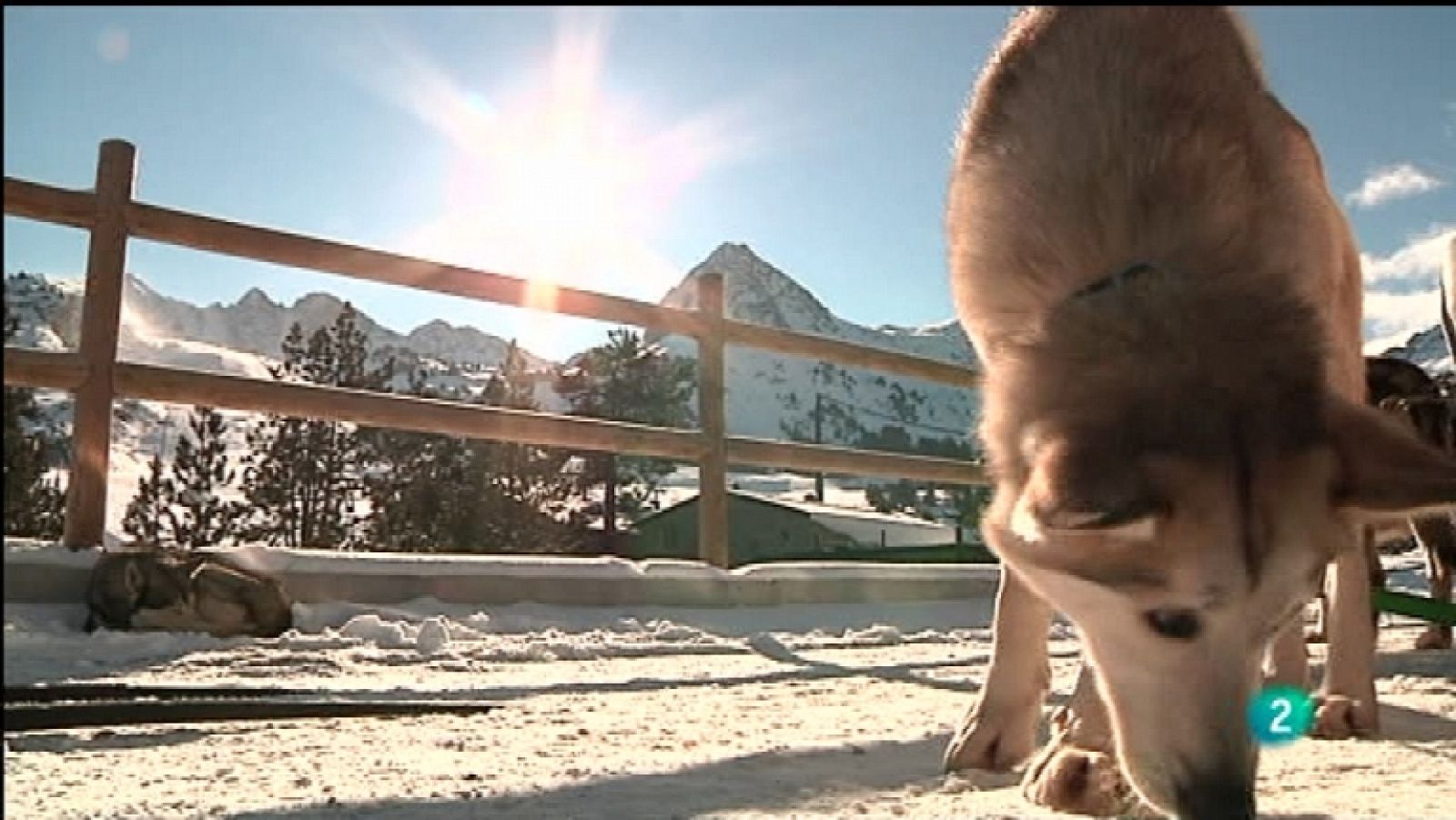 Para todos La 2 - 03/02/12 - Ver ahora