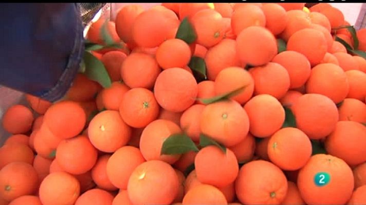 Agrosfera - Agrosfera - 04/02/12