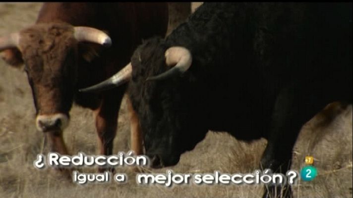 Tendido cero - Tendido cero - 04/02/12